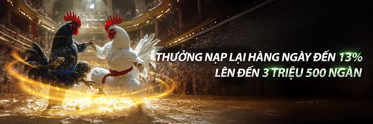Hình nền đá gà UCW88 với khán giả cuồng nhiệt